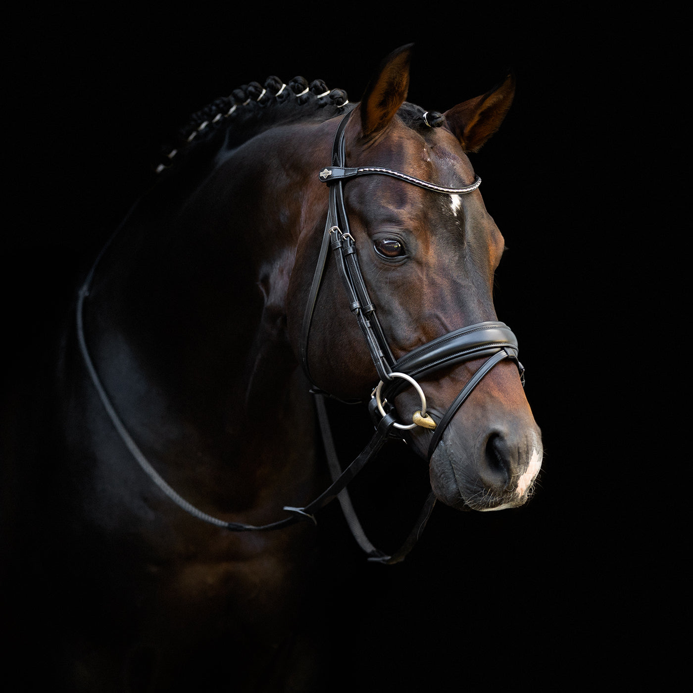 LeMieux Bride de dressage classique – Noir LeMieux Bride de dressage classique – Noir
