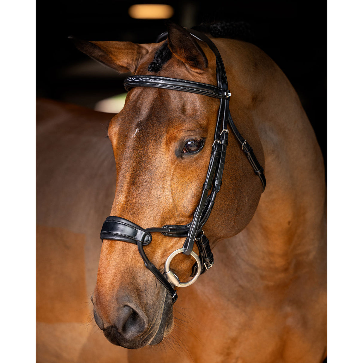 LeMieux Kudos Clear Arc Bridle