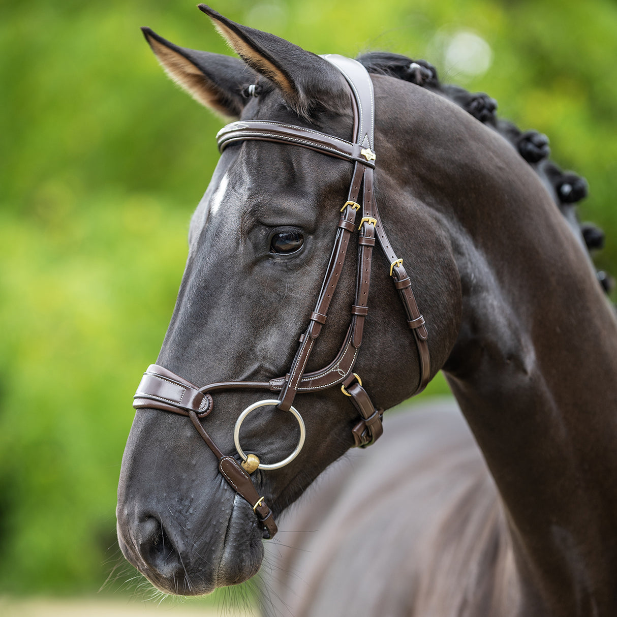 LeMieux Kudos Clear Arc Bridle