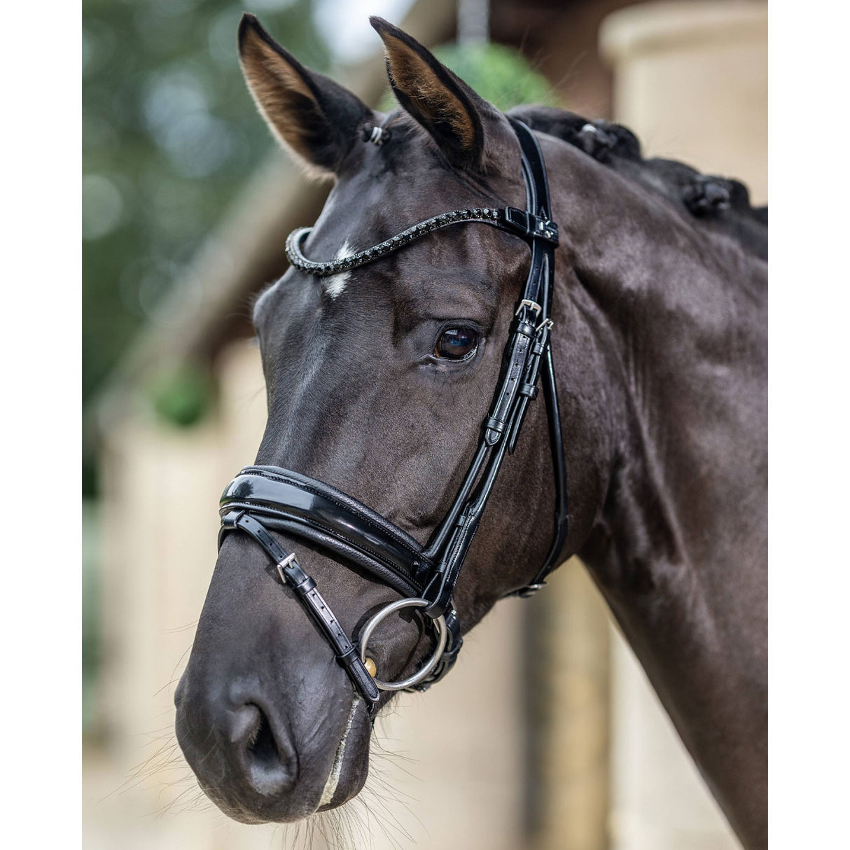 Bride de dressage brevetée LeMieux Kudos