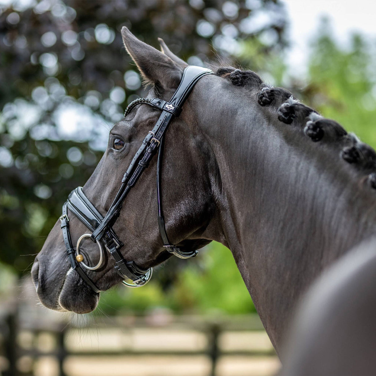 Bride de dressage brevetée LeMieux Kudos