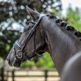 Bride de dressage brevetée LeMieux Kudos