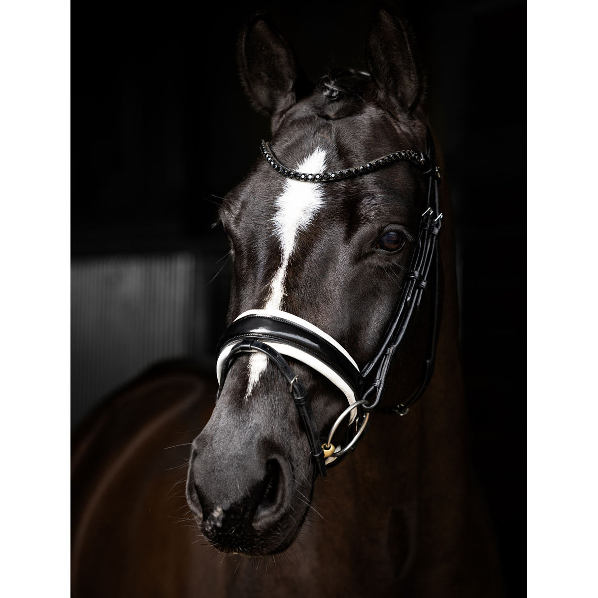 LeMieux Kudos Patent Dressage Bridle