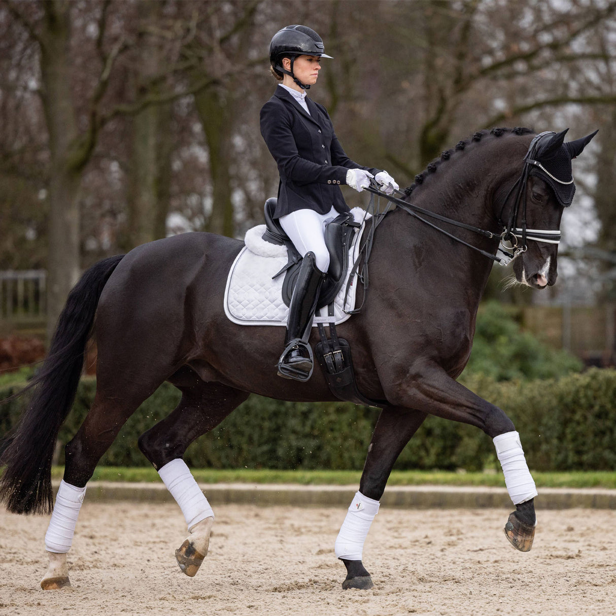 LeMieux Crystal Suede Dressage Saddle Pad