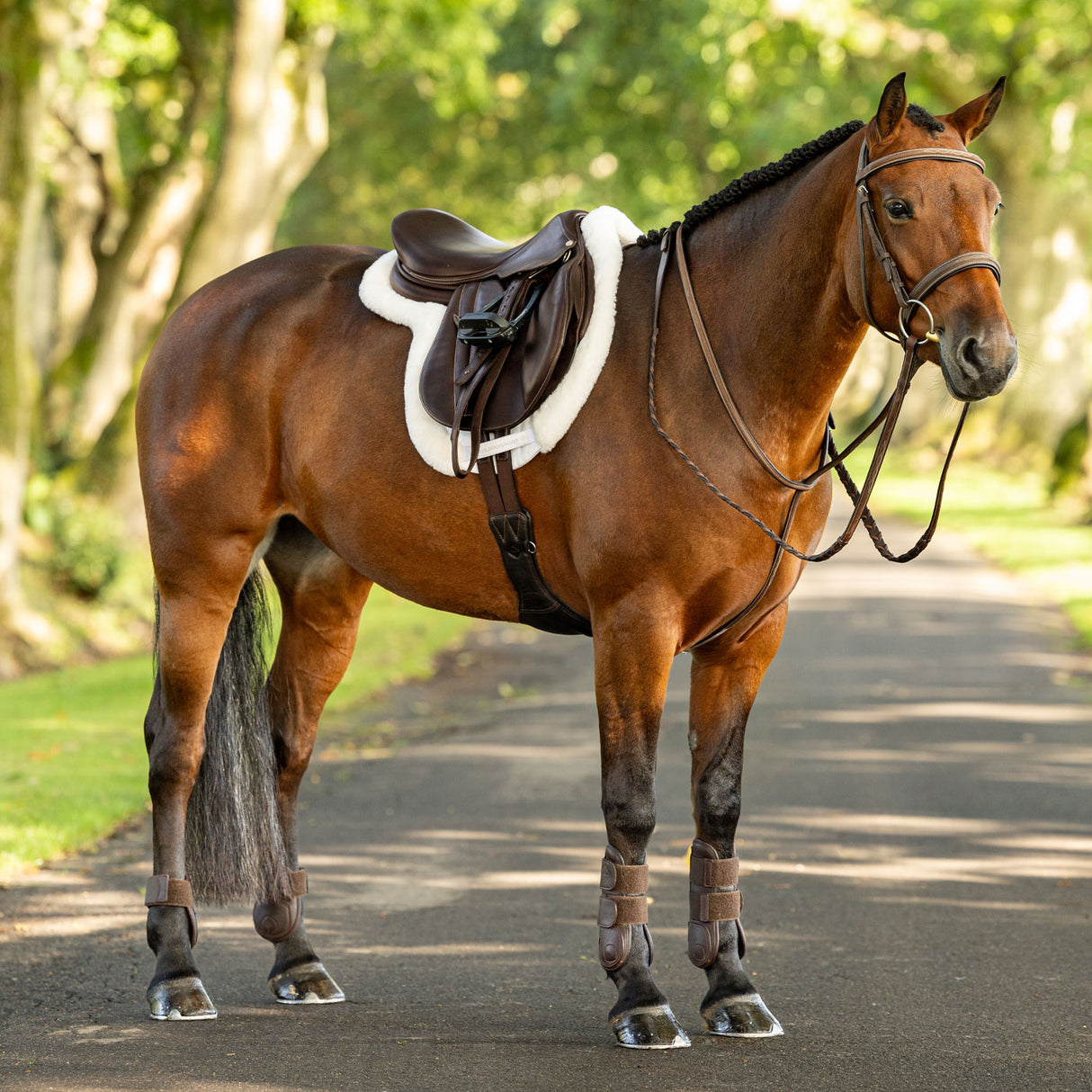 LeMieux Merino + ProSorb Hunter Saddle Pad