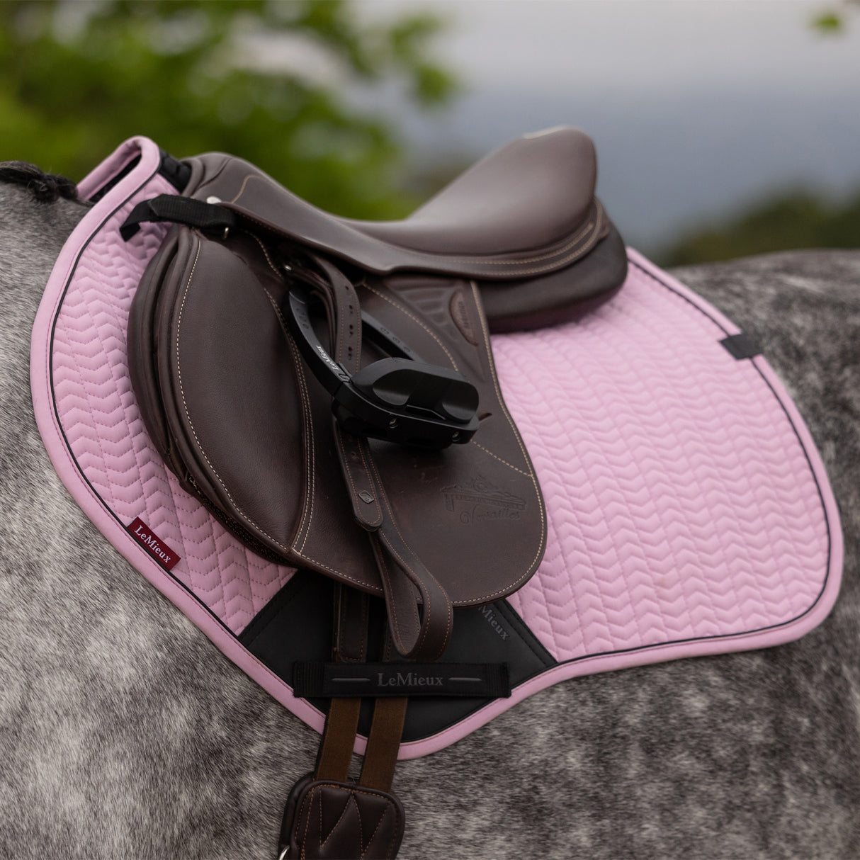 LeMieux Essence Eurojump Saddle Pad