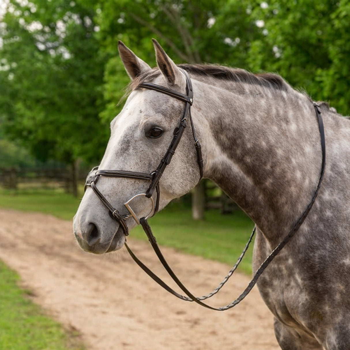 Val du Bois Padded Fancy Stitched Figure 8 Bridle W/ Reins