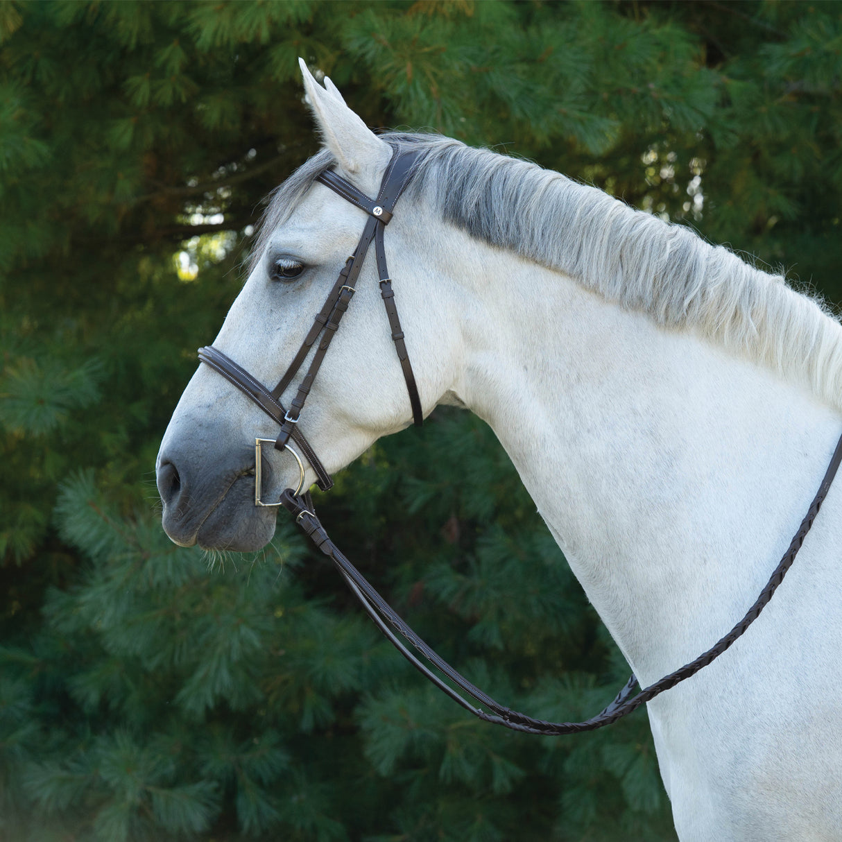 Mondega Marocchino 2.0 Hunter Bridle W/ Reins