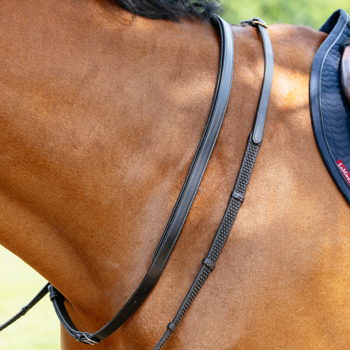 LeMieux Neck Strap