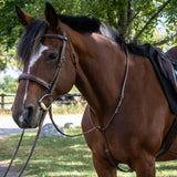Martingale Debout Mondega Carmaux