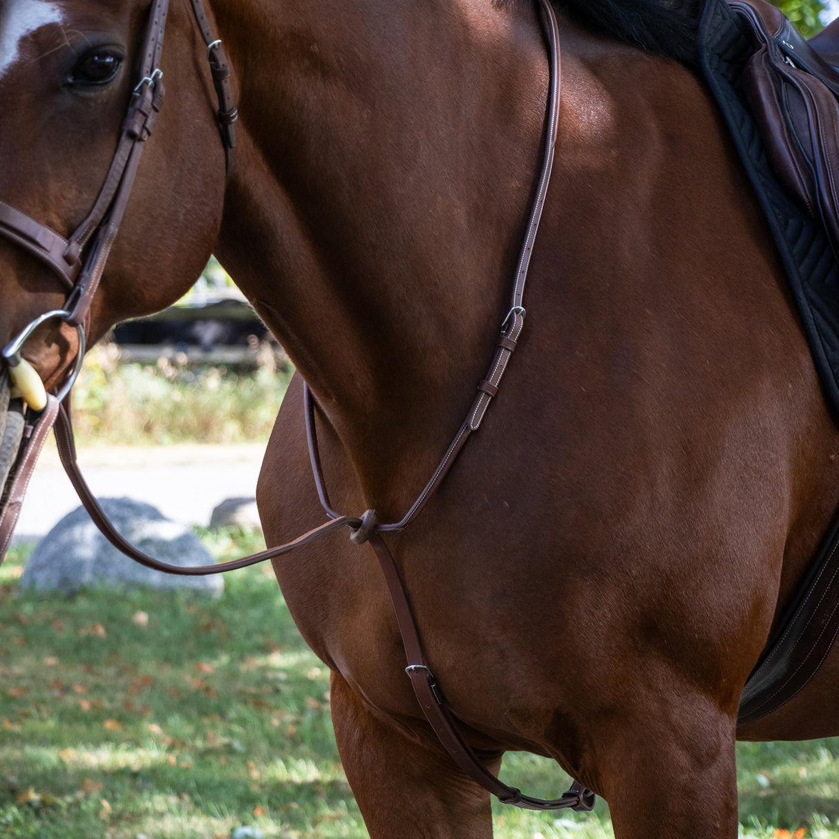 Martingale Debout Mondega Carmaux