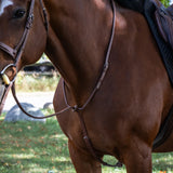 Martingale Debout Mondega Carmaux