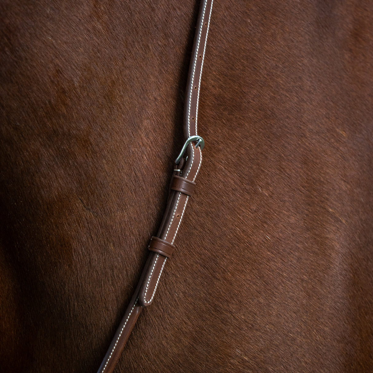 Martingale Debout Mondega Carmaux