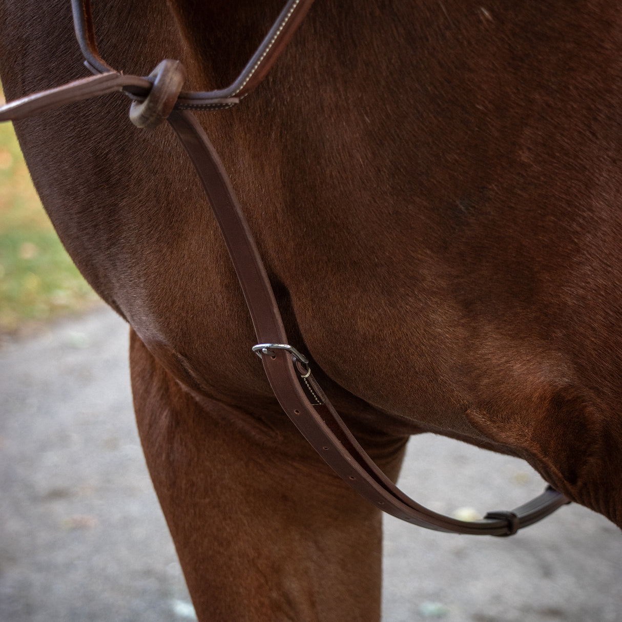 Martingale Debout Mondega Carmaux
