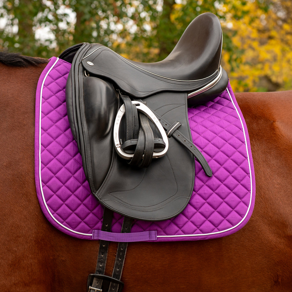 Tapis de selle de dressage Shedrow Original 2.0