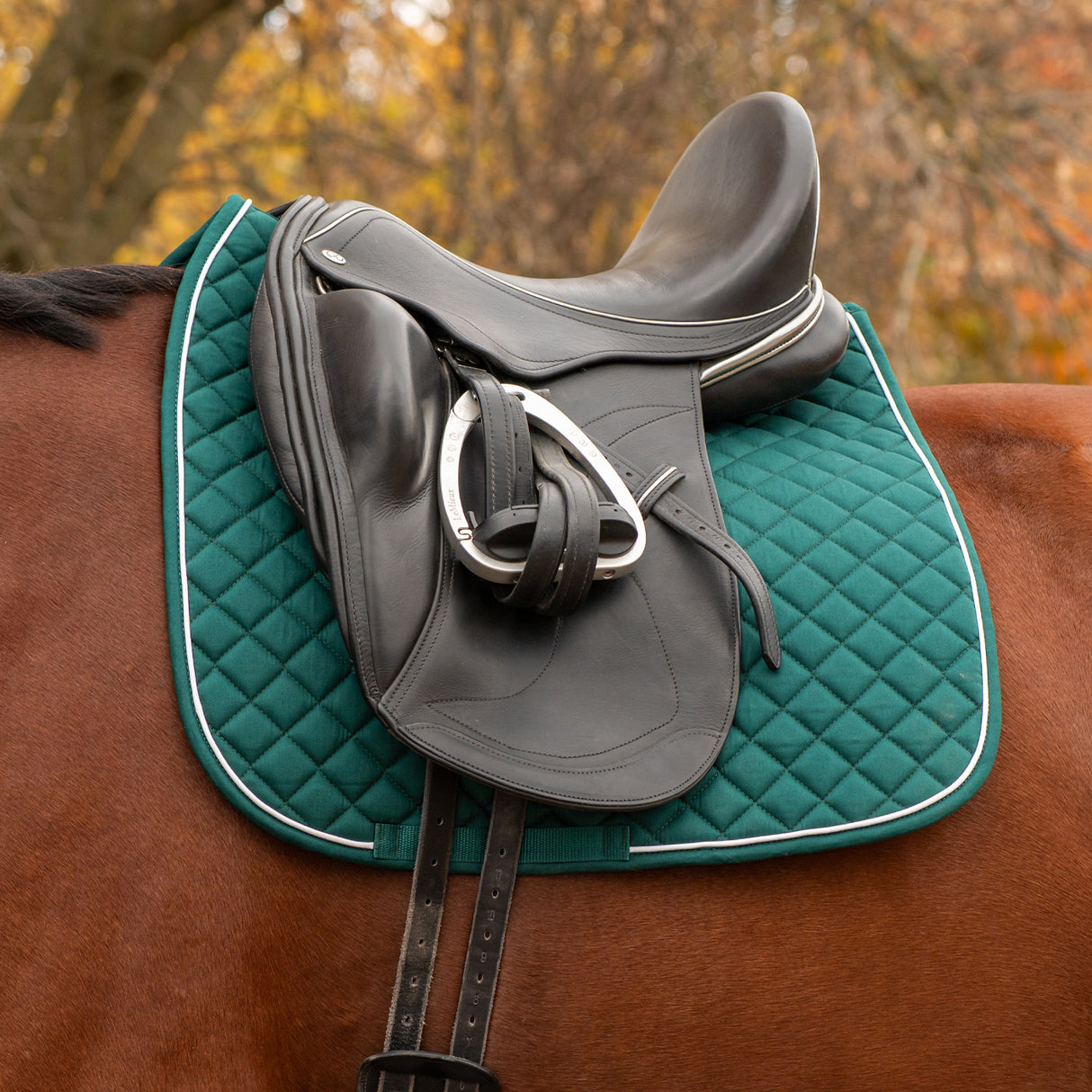 Tapis de selle de dressage Shedrow Original 2.0