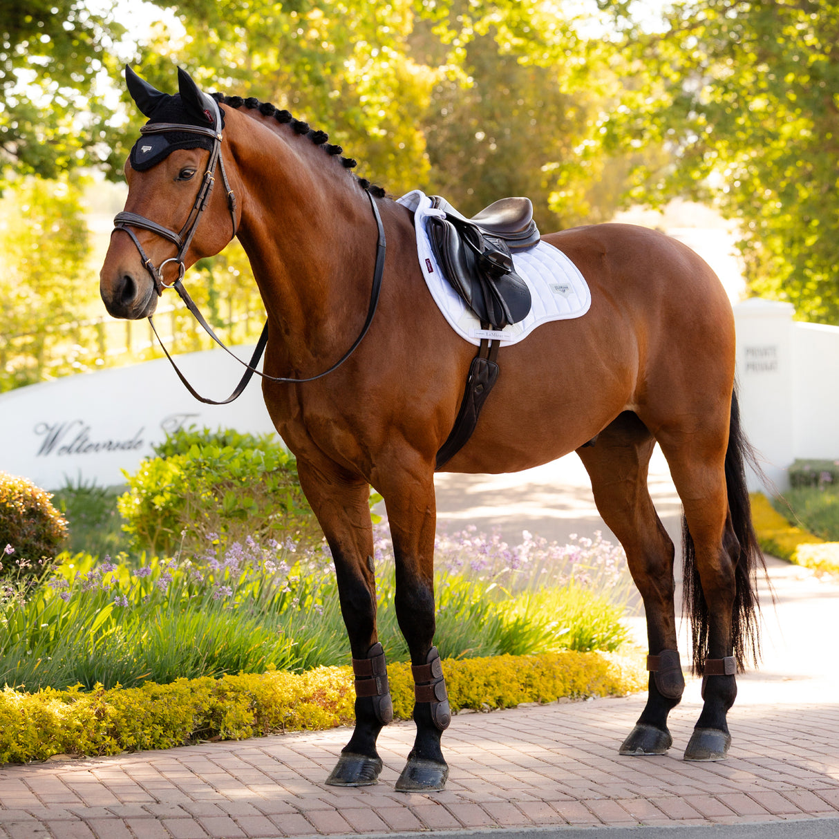 Tapis de selle de dressage LeMieux Loire