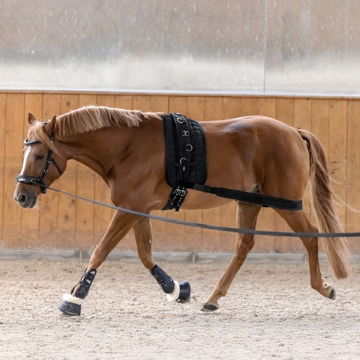 Bandage corporel de longe Waldhausen