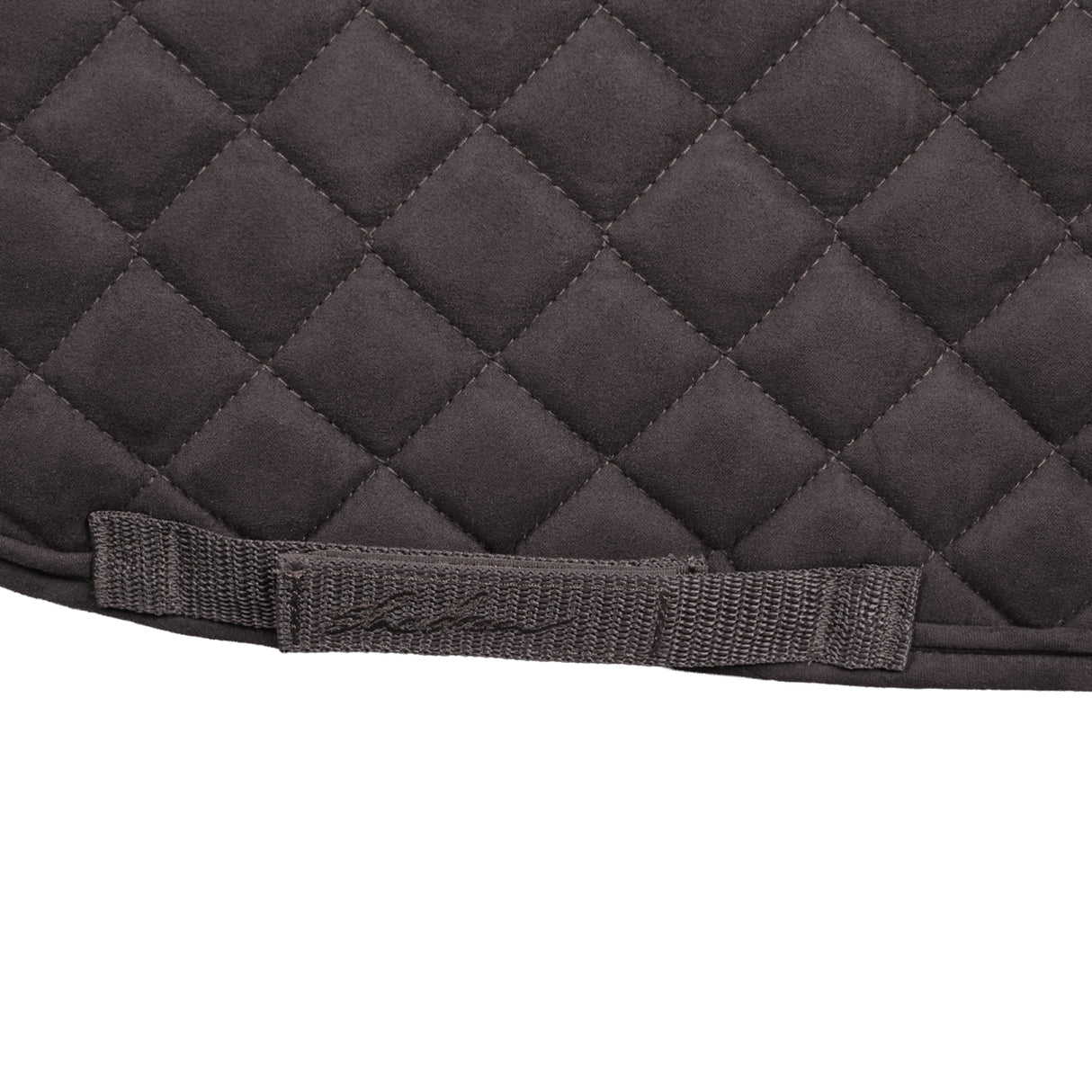 Shedrow Stryde Saddle Pad