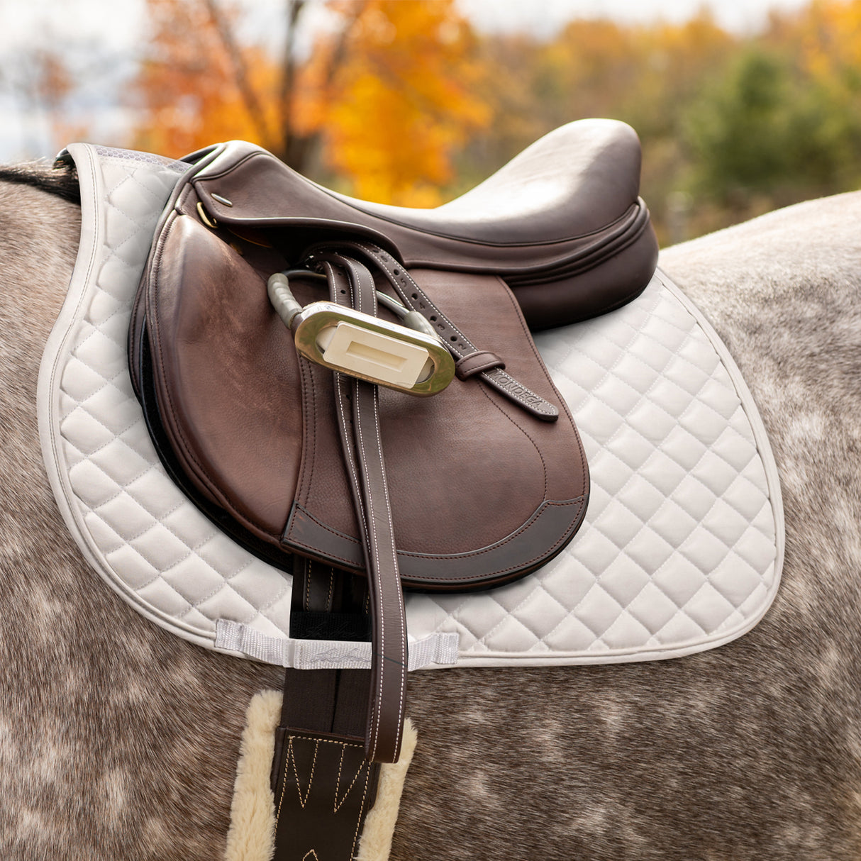 Shedrow Stryde Saddle Pad