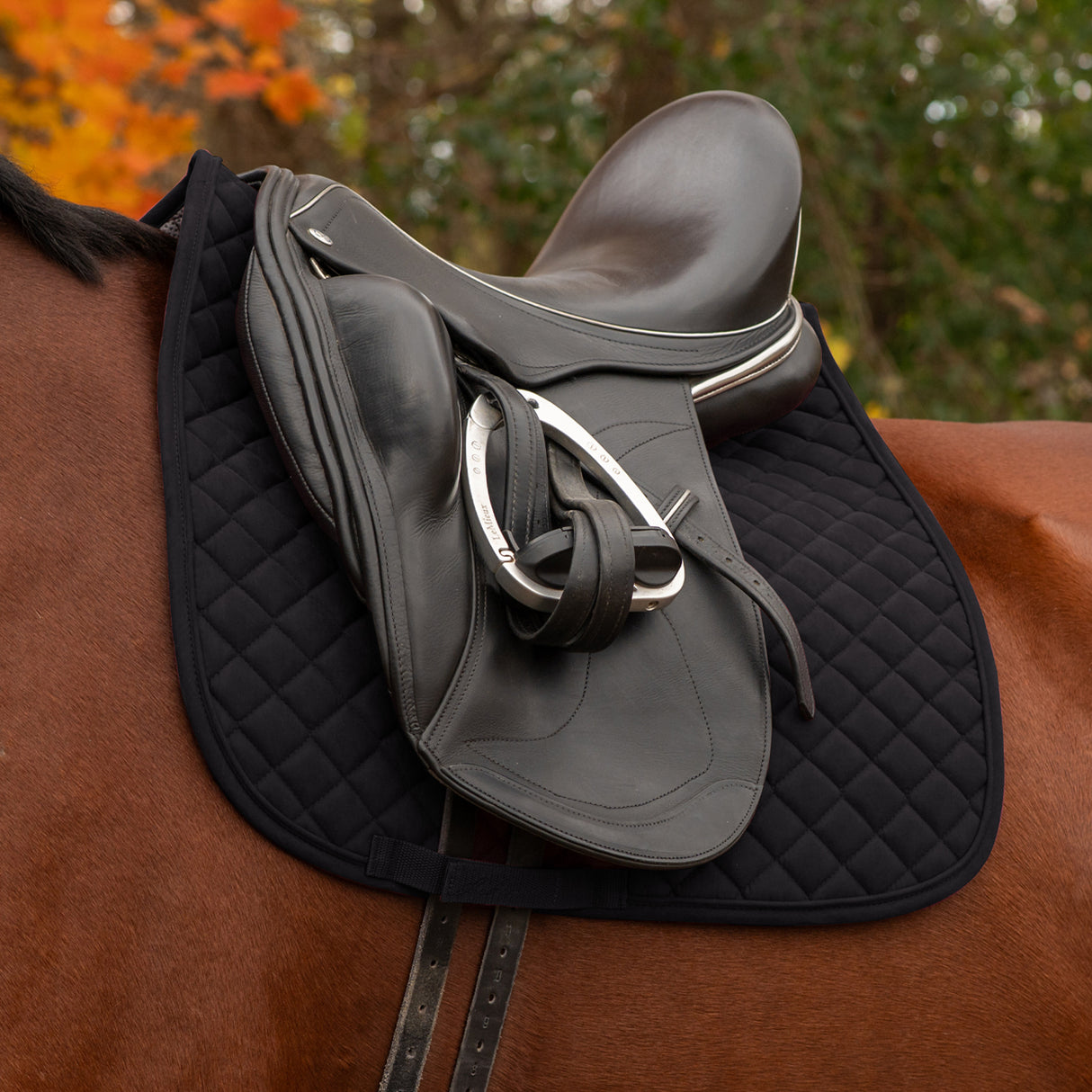 Shedrow Stryde Dressage Saddle Pad
