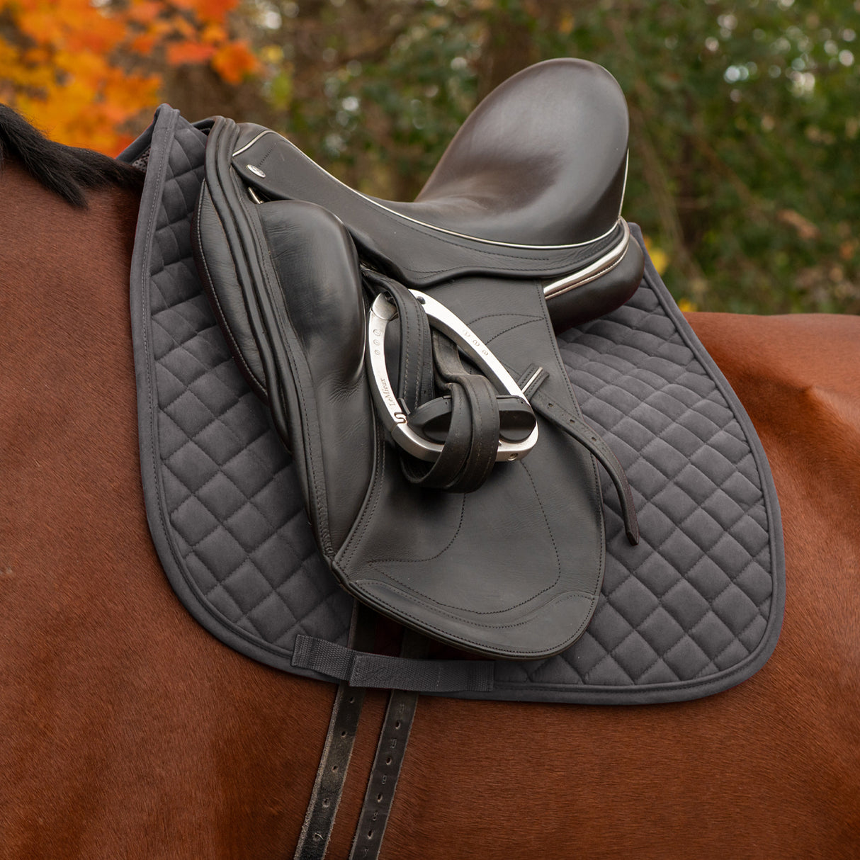 Shedrow Stryde Dressage Saddle Pad