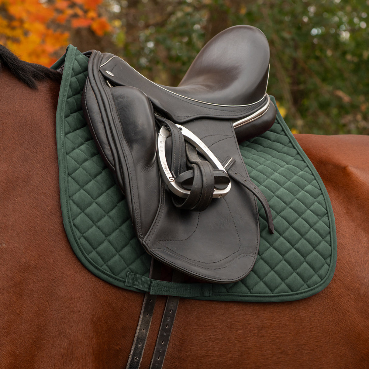 Shedrow Stryde Dressage Saddle Pad
