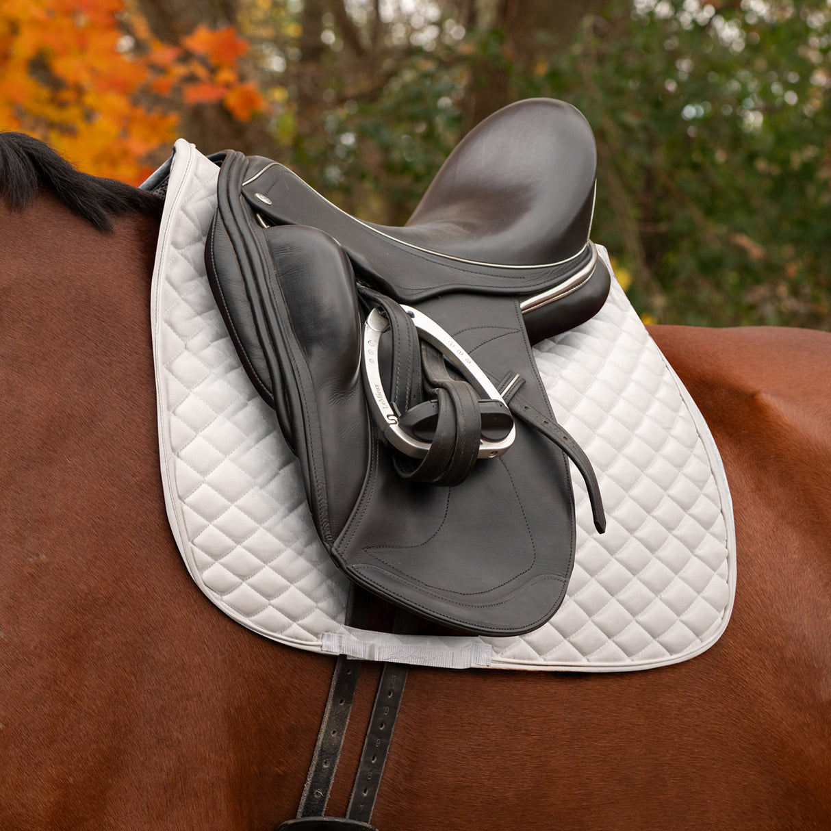 Shedrow Stryde Dressage Saddle Pad