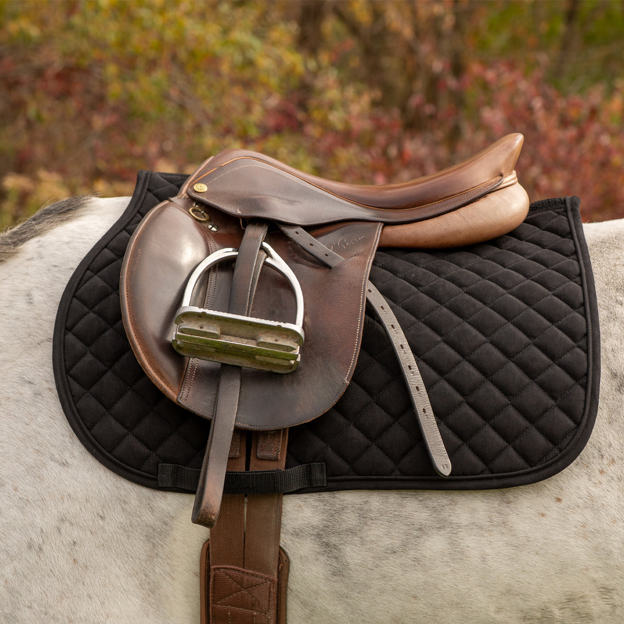 Tapis de selle pour poney Shedrow Stryde