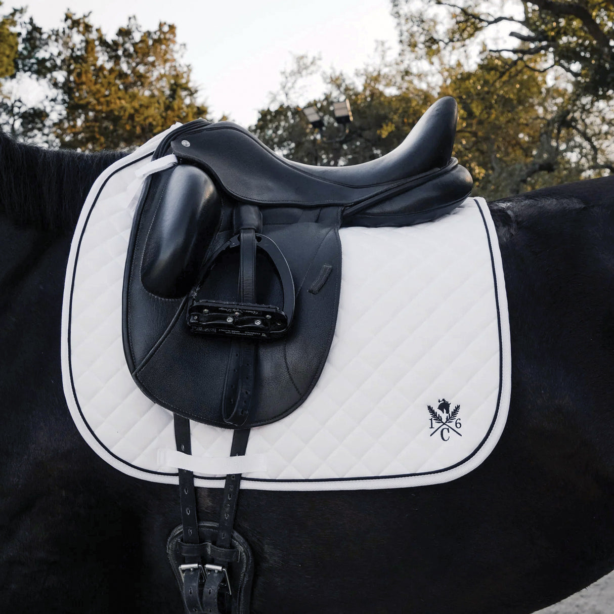 Tapis de selle de dressage Sixteen Cypress Daily Sport - Texte manquant