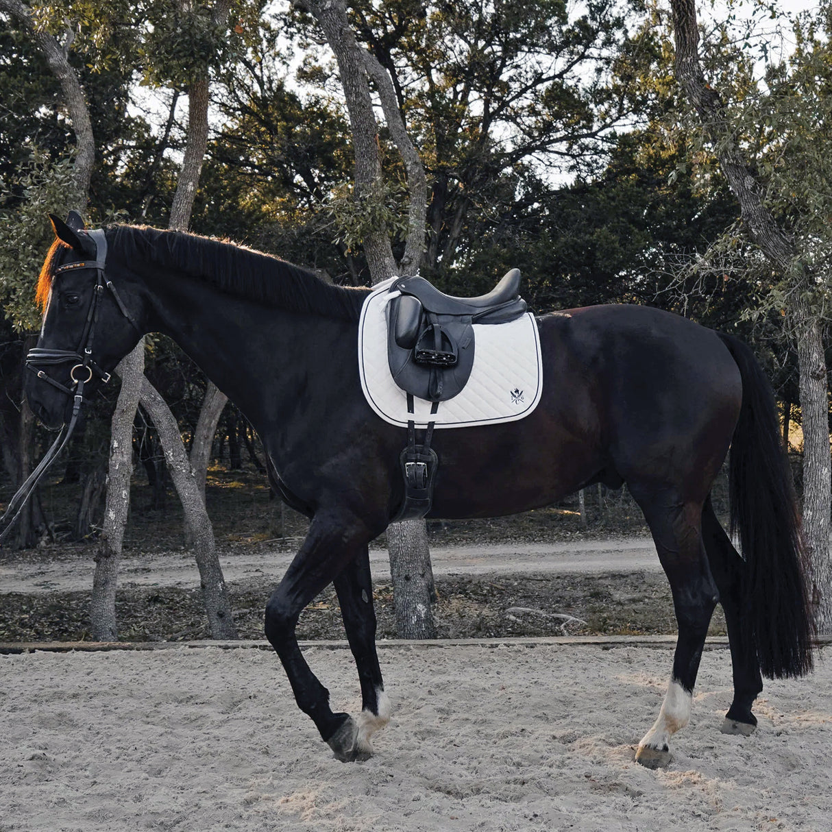 Tapis de selle de dressage Sixteen Cypress Daily Sport - Texte manquant