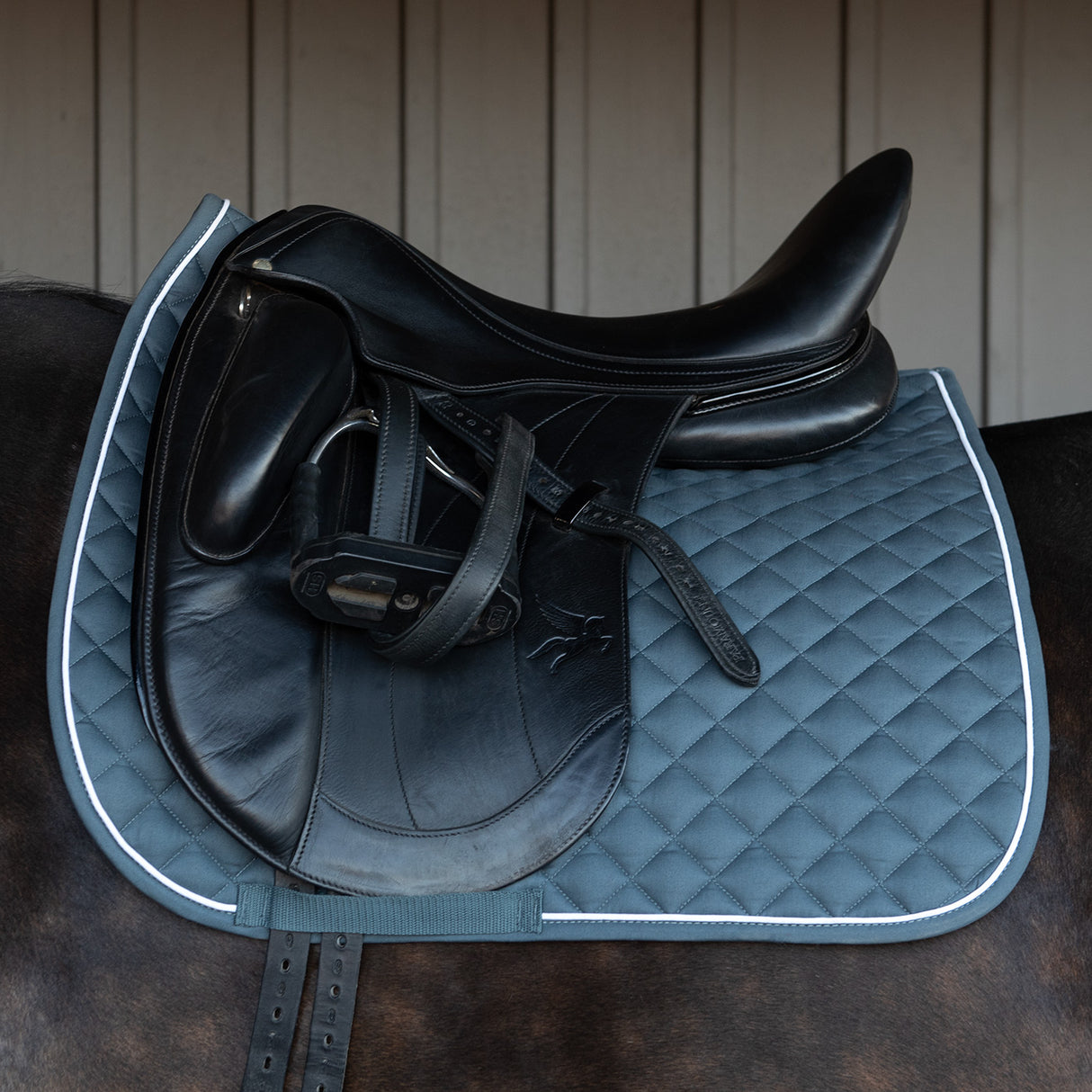 Tapis de selle de dressage original Shedrow