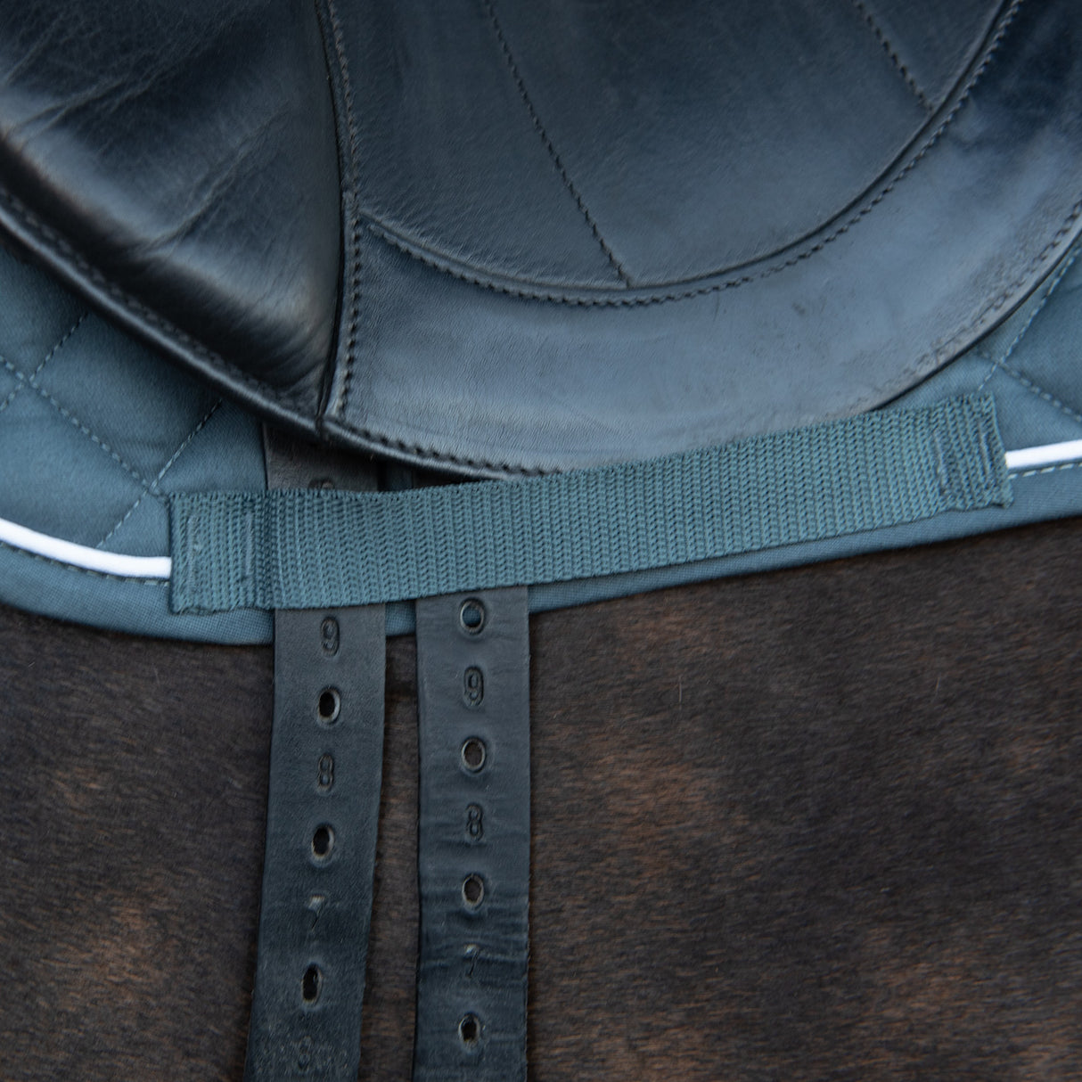 Shedrow Original Dressage Saddle Pad