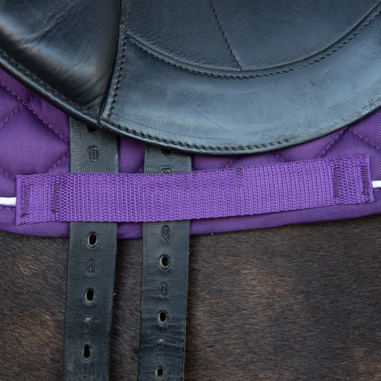 Shedrow Original Dressage Saddle Pad