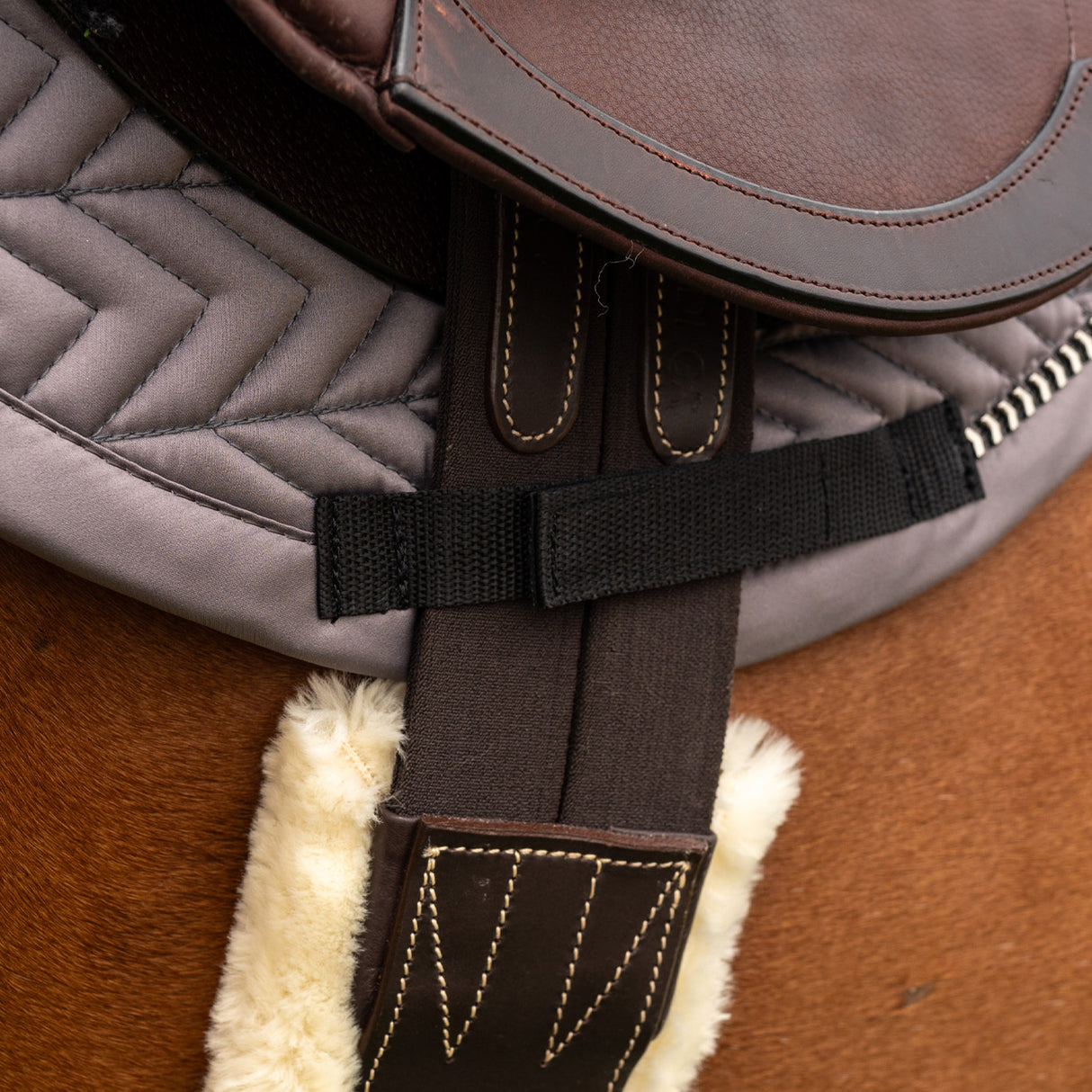 Shedrow Saber Saddle Pad