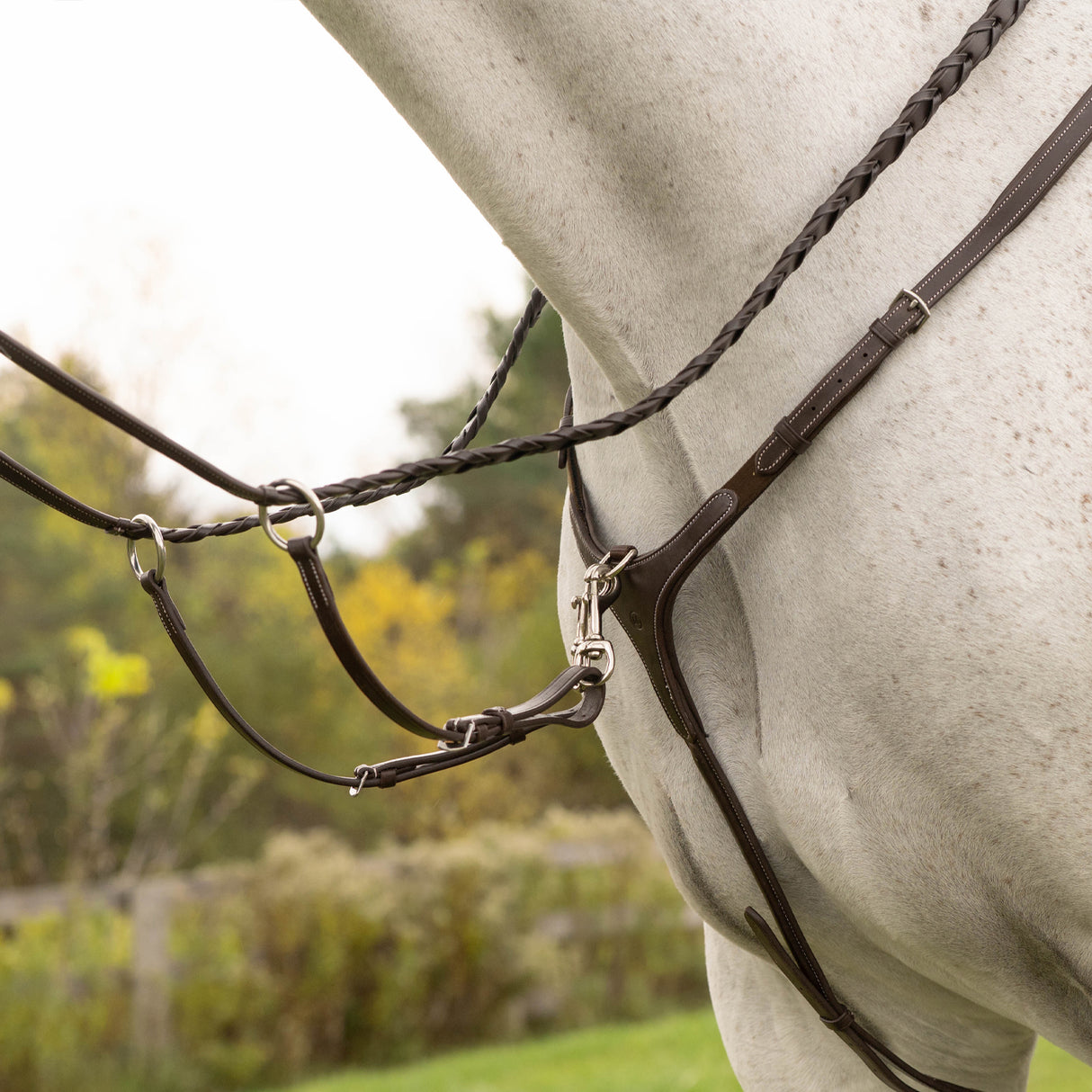 Collier de chasse Mondega 5 points