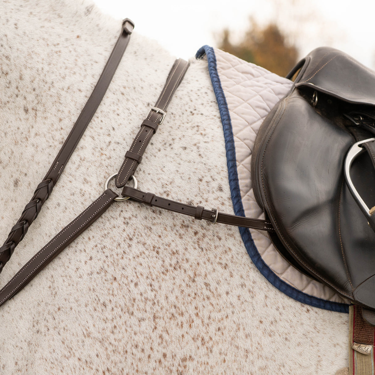 Collier de chasse Mondega 5 points