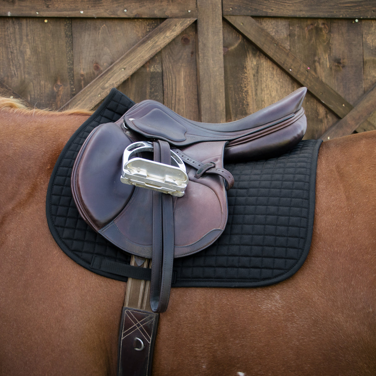 Thermal Therapy Saddle Pad