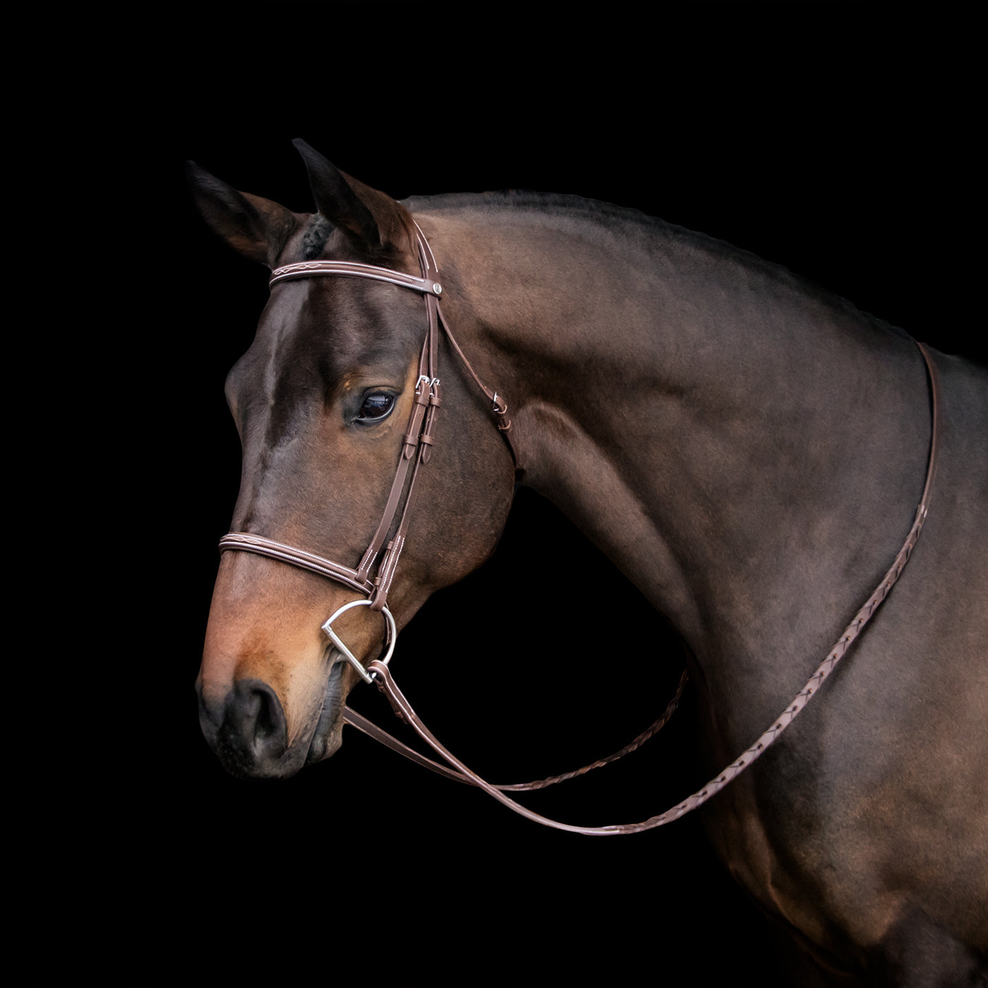 Mondega Kona Skinny Hunter Bridle – Greenhawk Equestrian Sport Mondega Kona Skinny Hunter Bridle – Greenhawk Equestrian Sport