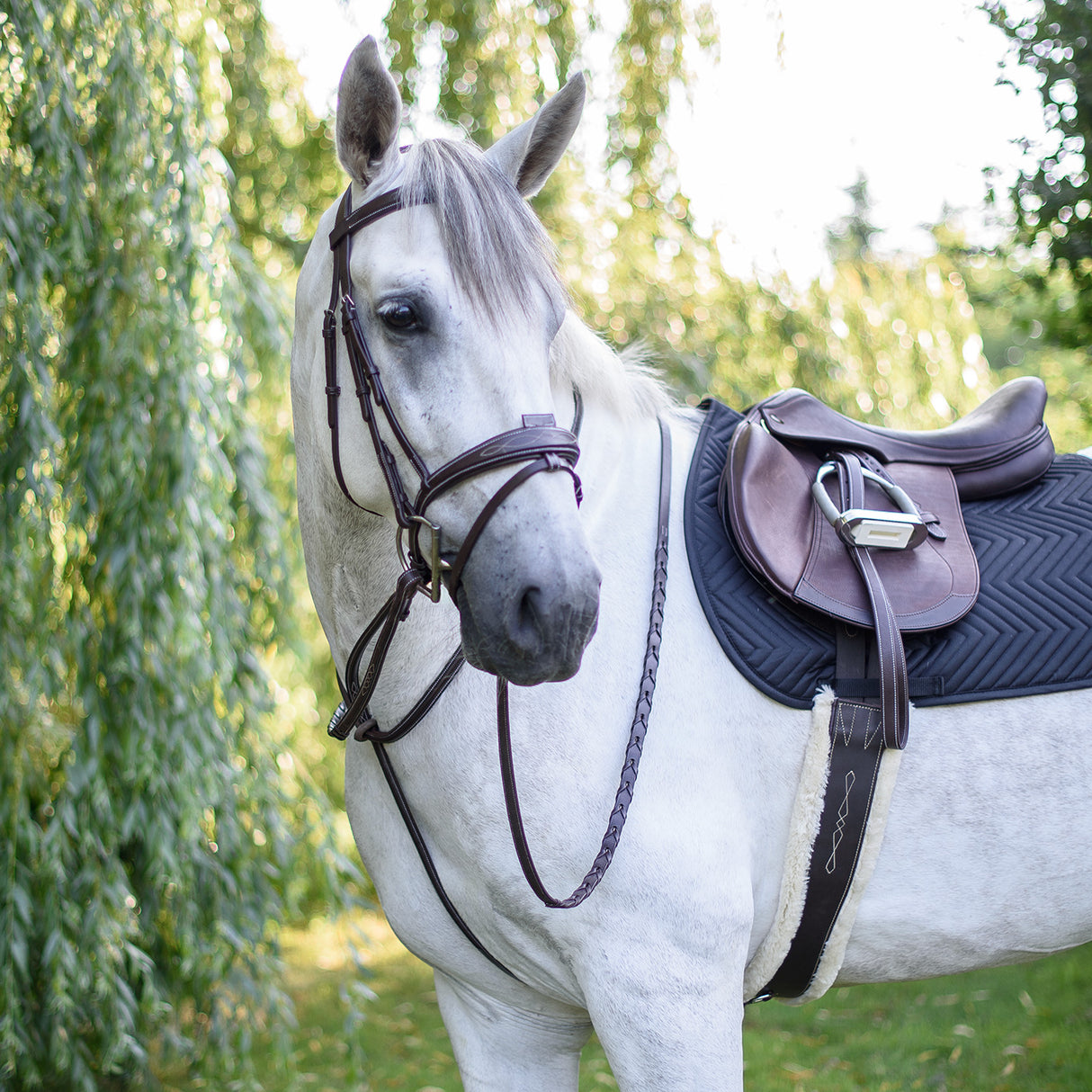 Martingale debout Mondega
