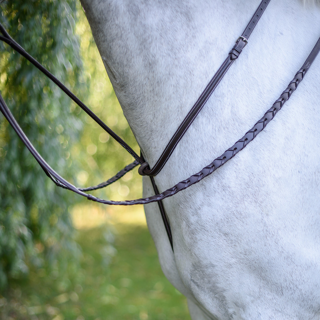 Martingale debout Mondega