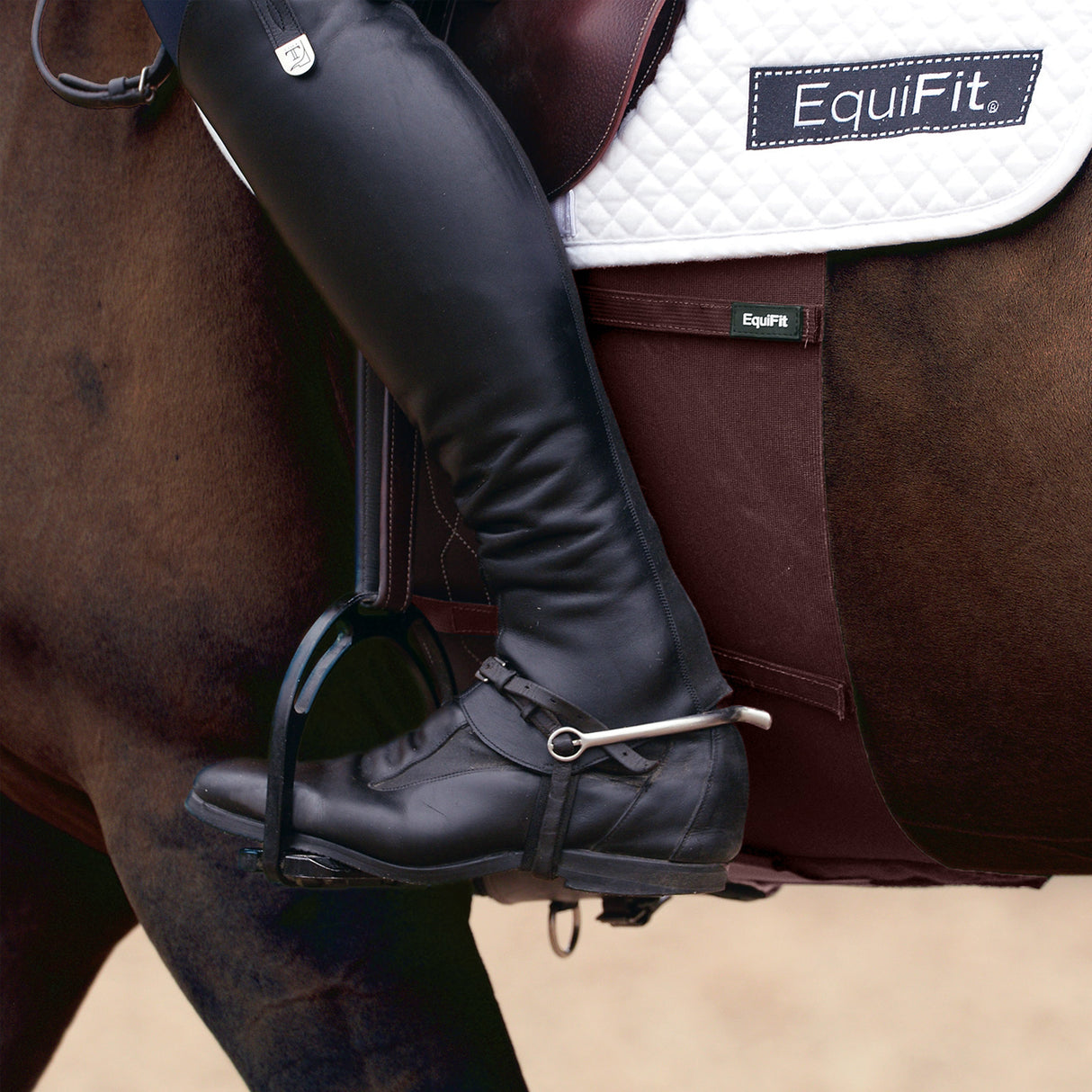 EquiFit BellyBand