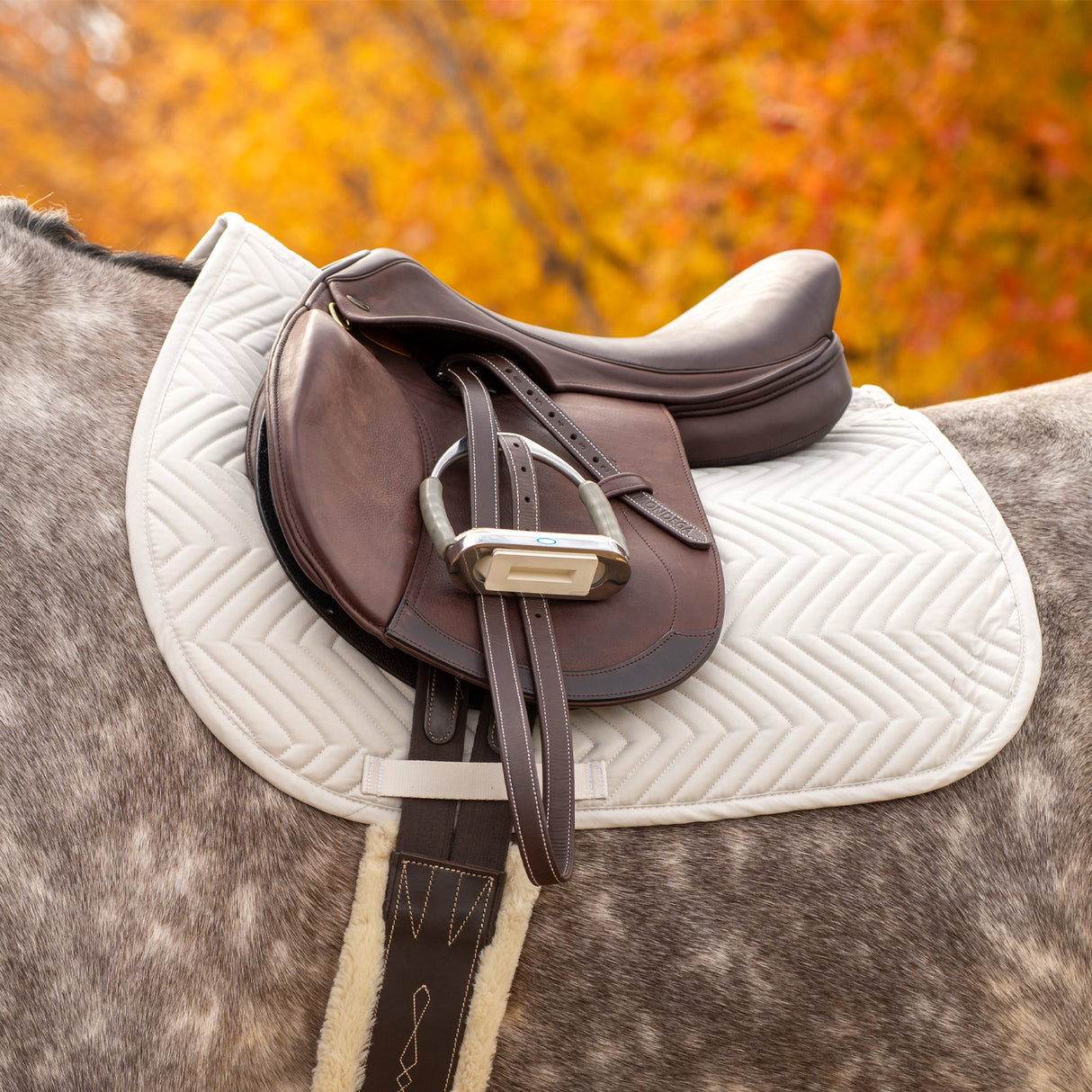 Tapis de selle essentiel au quotidien