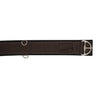 Copper Canyon Felt Lined Cinch
