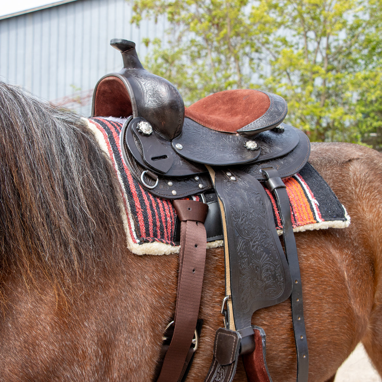 Selle de poney western en cuir Silverline