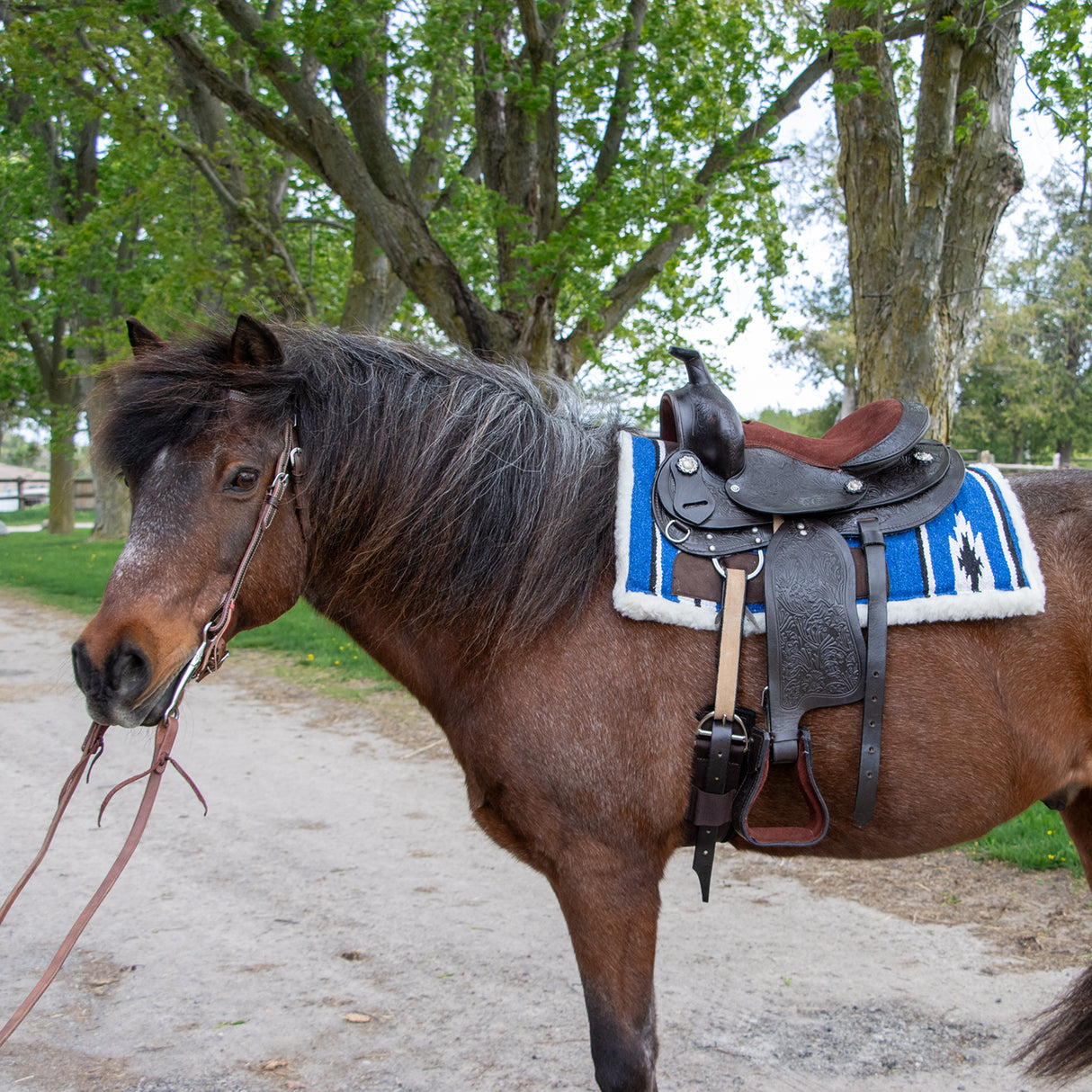 Tapis de selle western carré pour poney Tough1
