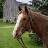 Bride western Country Legend avec frontal basket tooling