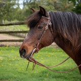 Bride à frontal pour poney Royal King, cuir lisse