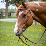 Têtière en cuir huilé Copper Canyon – nœud Futurity avec attaches
