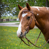 Têtière en cuir huilé Copper Canyon – nœud Futurity avec attaches